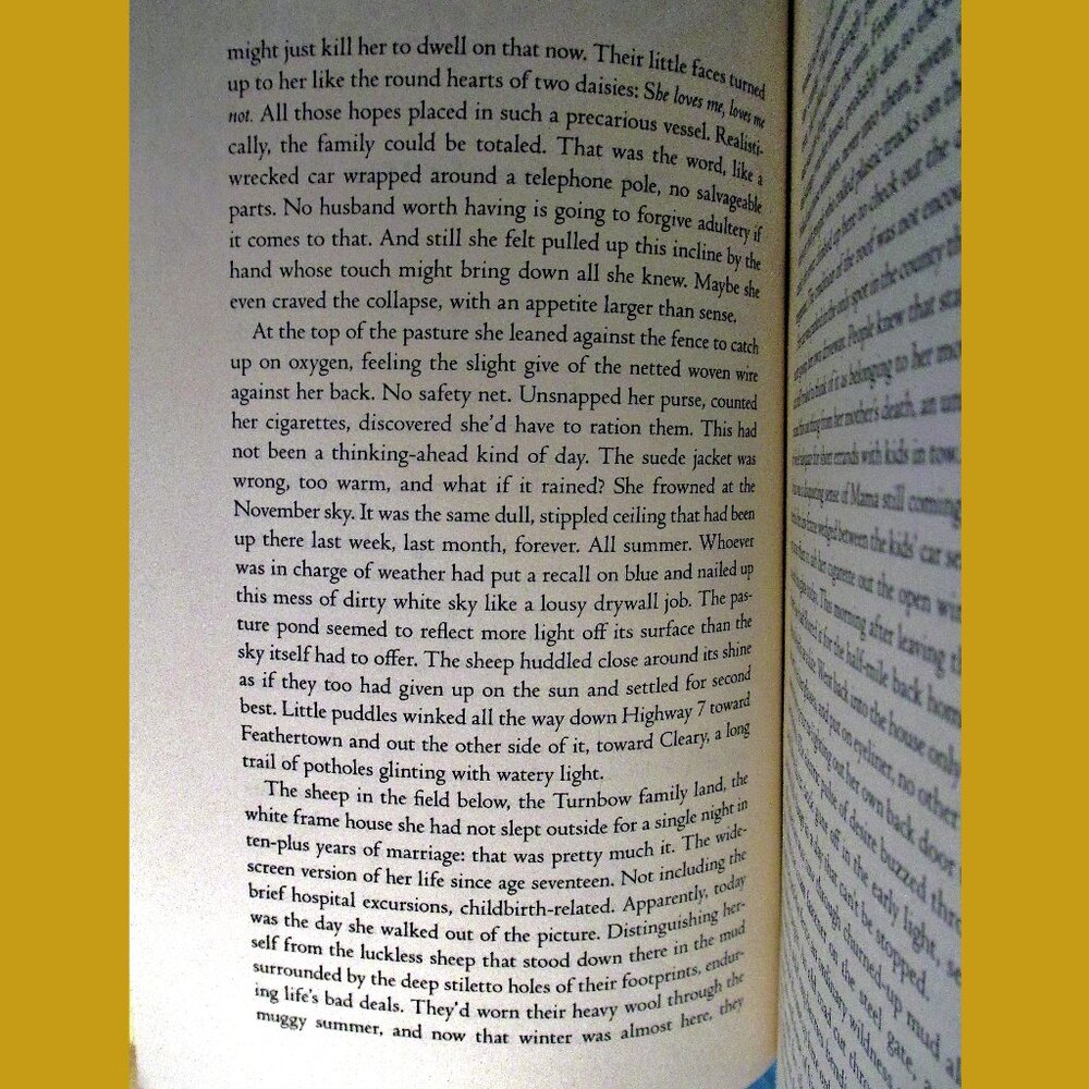 Book: Flight Behavior - A Novel, by Barbara Kingsolver - Picture 3 of 10
